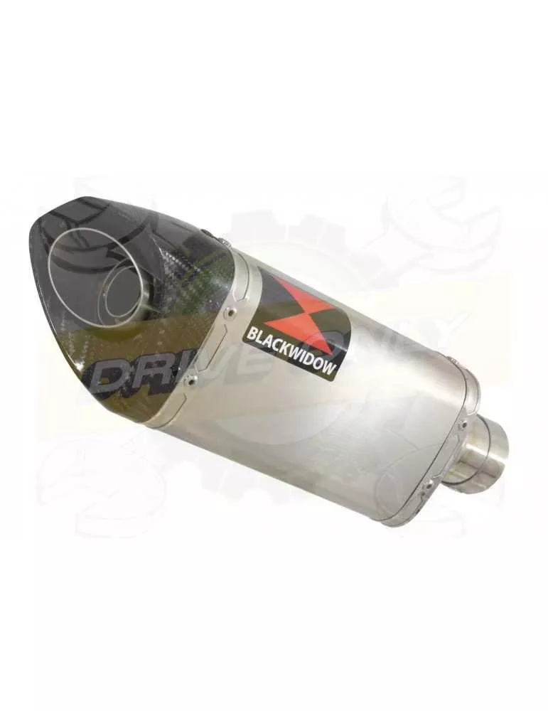 R6 2006-2016 Hi level Silencieux kit & Silencieux Tri-Ovale En Inox + Canule en En Carbone 250mm