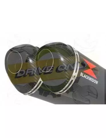 XJR1200 XJR 1200 4-2 Silencieux Kit & Silencieux Ovale Noir En Inox & Canule en Carbone 300mm