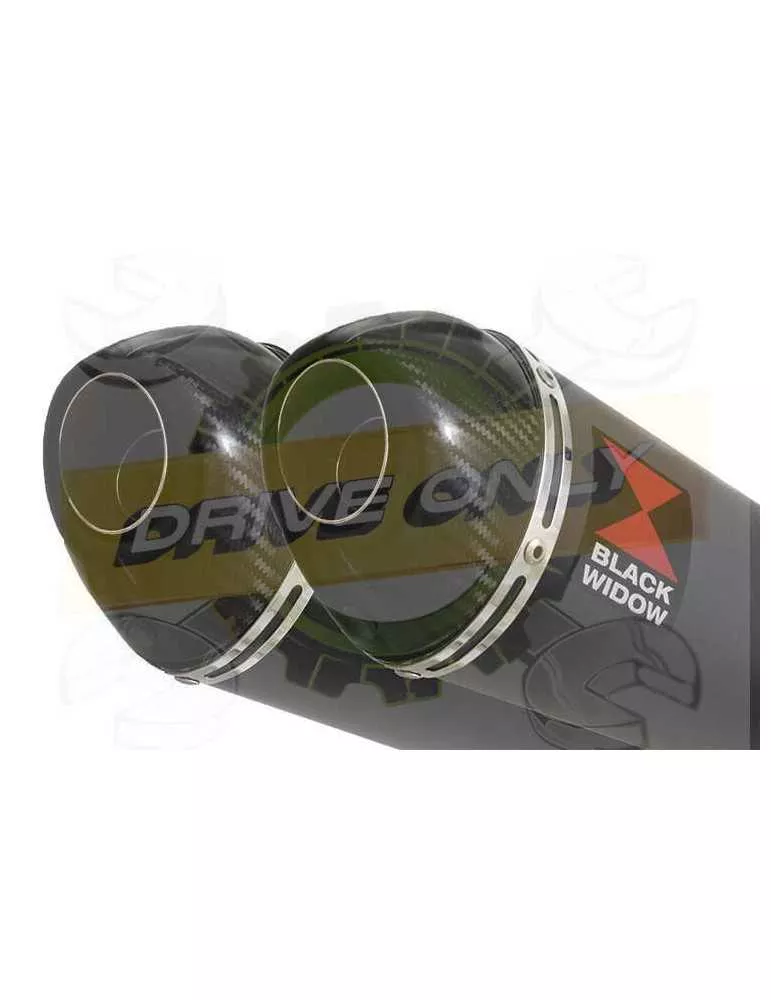 XJR1200 XJR 1200 4-2 Silencieux Kit & Silencieux Ovale Noir En Inox & Canule en Carbone 200mm