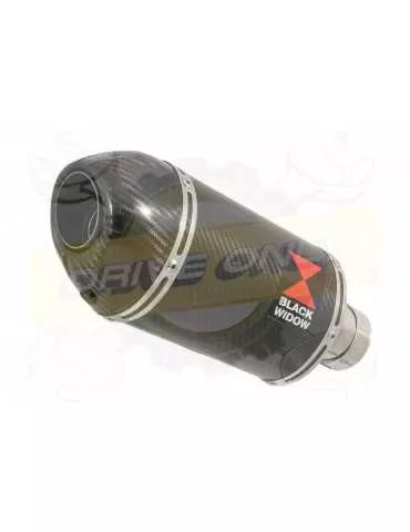 R6 2006-2016 Décatalyseur Ligne complète & Silencieux Ovale En Carbone 200mm