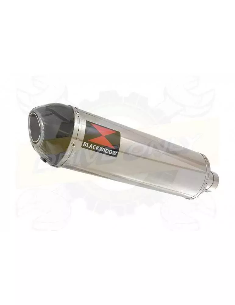 R6 YZF600 2006-2016 Passage Haut Décatalyseur Ligne complète & Silencieux Ovale en Inox + Canule en Carbone 400mm
