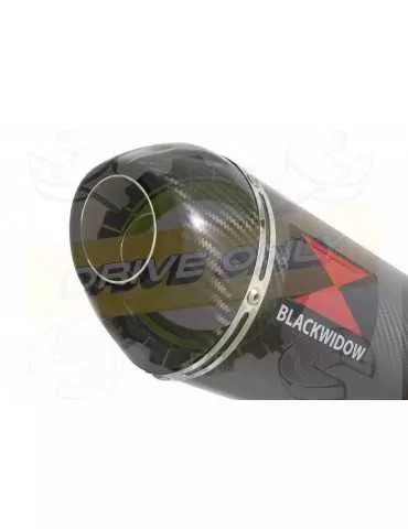 R6 YZF600 2006-2016 Passage Haut Décatalyseur Ligne complète & Silencieux Ovale En Carbone 400mm