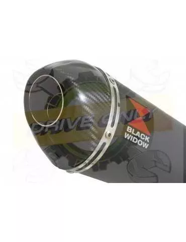 R6 YZF600 2006-2016 Passage Haut Décatalyseur Ligne complète & Silencieux Ovale Noir en Inox + Canule en Carbone 200mm