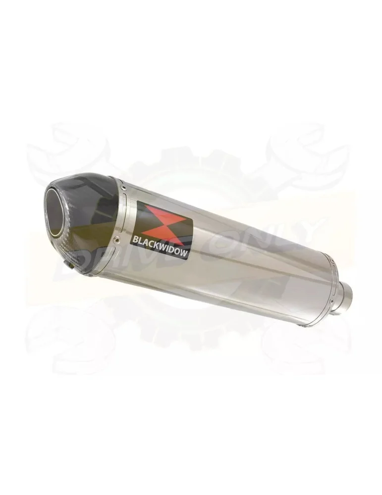 R6 1998-2002 Silencieux Kit & Silencieux Ovale En Inox + Canule en Carbone 400mm