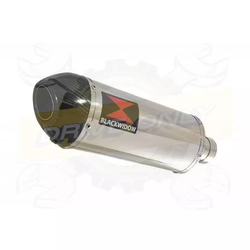 R6 1998-2002 Silencieux Kit & Silencieux Ovale En Inox + Canule en Carbone 300mm