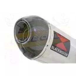 R6 1998-2002 Silencieux Kit & Silencieux Ovale En Inox + Canule en Carbone 300mm