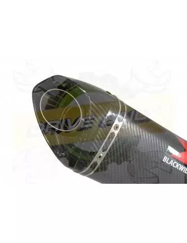 R6 1998-2002 Silencieux Kit & Silencieux Tri Ovale En Carbone 250mm