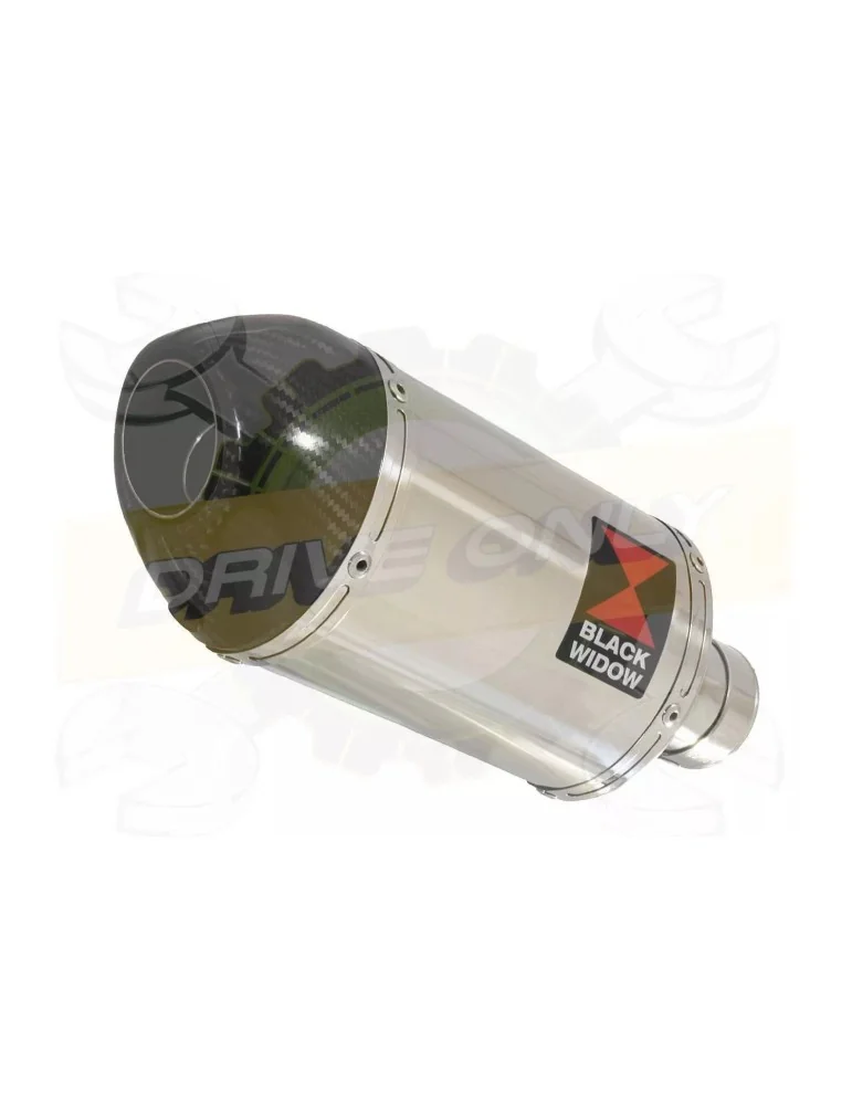 R6 1998-2002 Silencieux Kit & Silencieux Ovale En Inox + Canule en Carbone 200mm