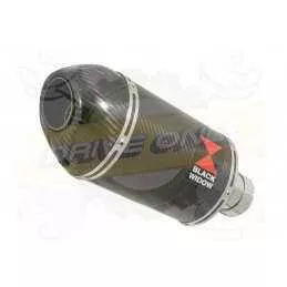 R6 1998-2002 Silencieux Kit & Silencieux En Carbone 200mm