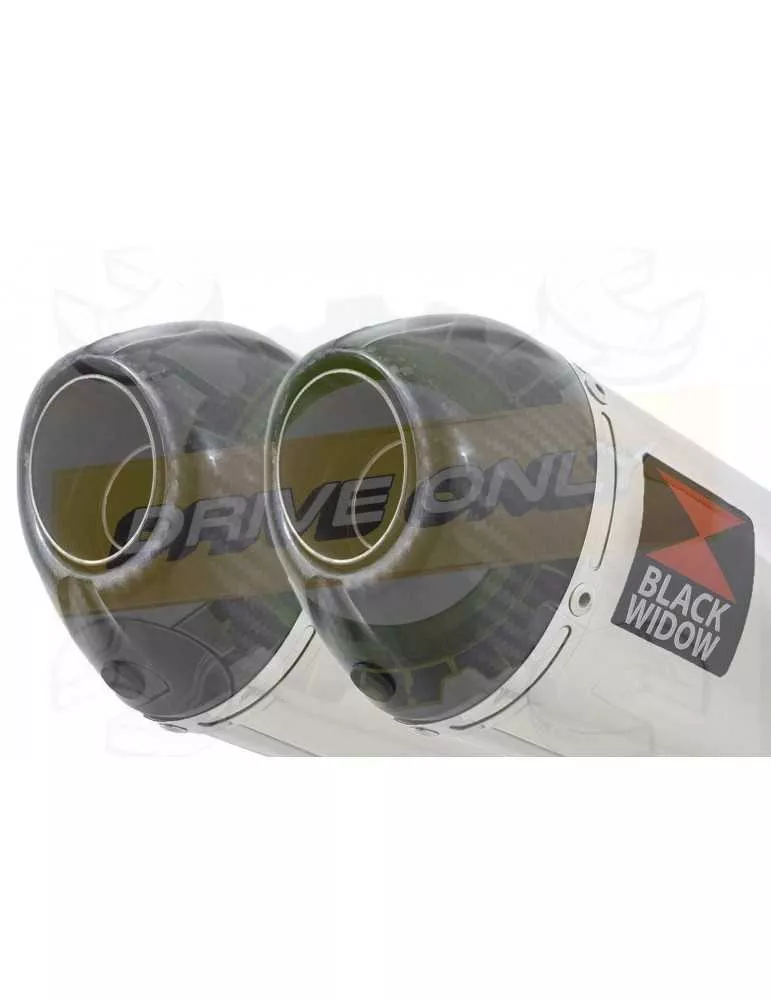 V-MAX V MAX 1200 tube de raccords & Ovale Silencieux En Inox & Carbon Tip 200mm