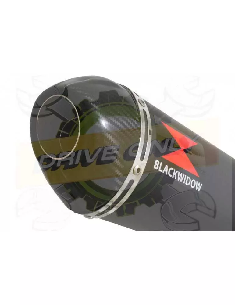 XJR1300 XJR 1300 2007-2016 4-1 Décatalyseur Ligne complète & Silencieux Ovale Noir en Inox + Canule en Carbone 400mm