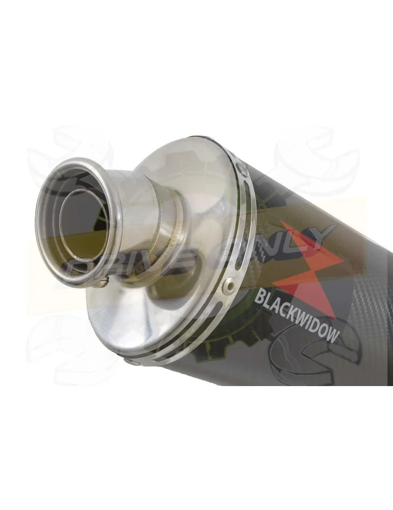 XJR1300 XJR 1300 2007-2016 4-1 Décatalyseur Ligne complète & Silencieux Ovale En Carbone 400mm