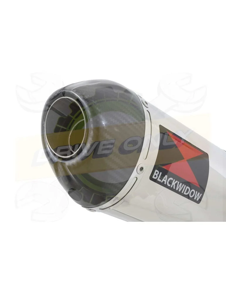 XJR1300 XJR 1300 2007-2016 4-1 Décatalyseur Ligne complète & Silencieux Ovale en Inox + Canule en Carbone 300mm