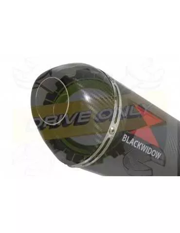 XJR1300 XJR 1300 2007-2016 4-1 Décatalyseur Ligne complète & Silencieux Ovale En Carbone 300mm