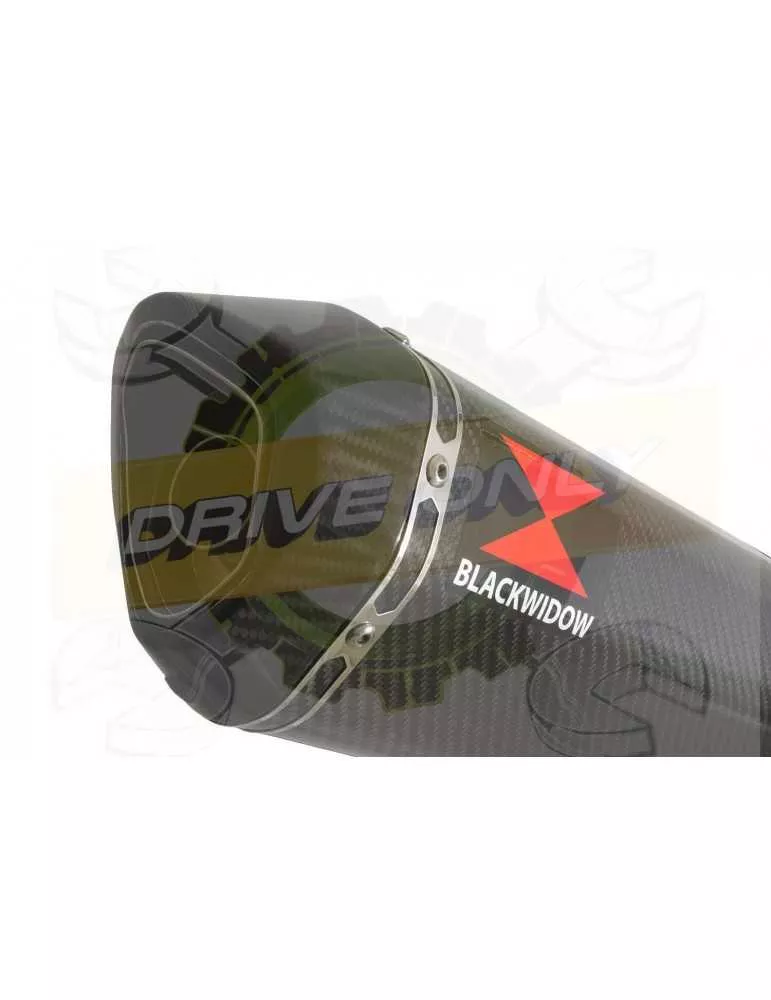 XJR1300 XJR 1300 2007-2016 4-1 Décatalyseur Ligne complète & Silencieux Hexagonale en Carbone 300mm