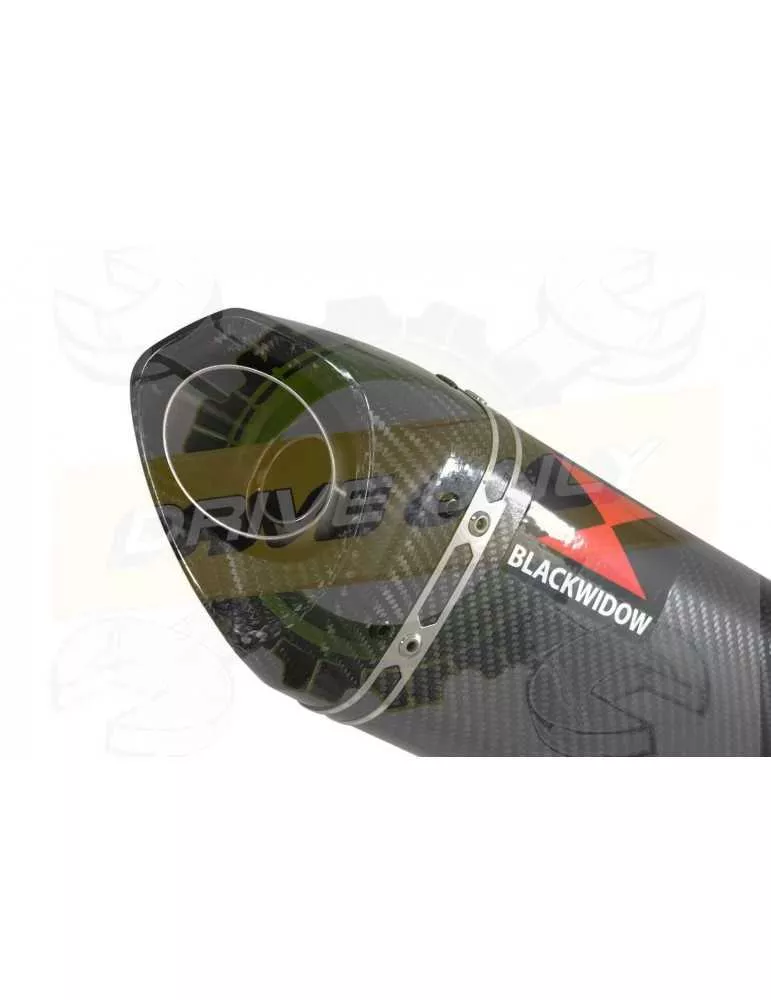 XJR1300 XJR 1300 2007-2016 4-1 Décatalyseur Ligne complète & Silencieux Tri Ovale En Carbone 250mm