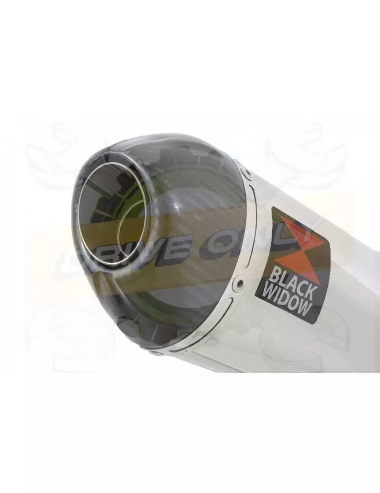 XJR1300 XJR 1300 2007-2016 4-1 Décatalyseur Ligne complète & Silencieux Ovale en Inox + Canule en Carbone 200mm
