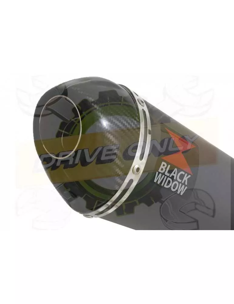 XJR1300 XJR 1300 2007-2016 4-1 Décatalyseur Ligne complète & Silencieux Ovale Noir en Inox + Canule en Carbone 200mm