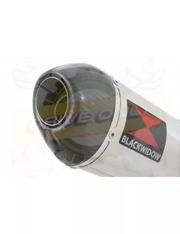 XJR 1300 2007-2016 Tube de raccord et Silencieux Ovale En Inox + Canule en Carbone 300mm