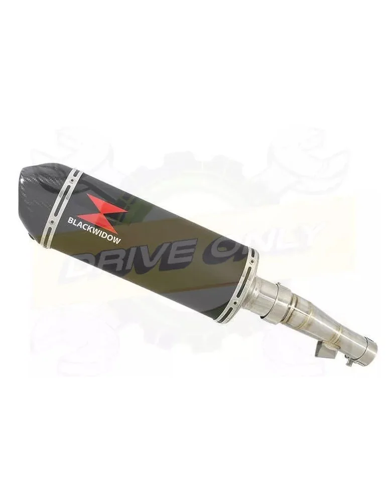 Honda NC 700 S (RC61) 2012-2014 Kit Silencieux: Silencieux Ovale Noir Inox 300mm + Carbone Tip