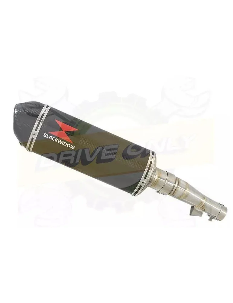 Honda NC 700 S (RC61) 2012-2014 Kit Silencieux: 300mm Silencieux Ovale Carbone + Carbone Tip
