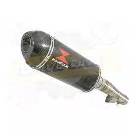 Honda NC 700 S (RC61) 2012-2014 Kit Silencieux: 300mm Silencieux Ovale Carbone + Carbone Tip