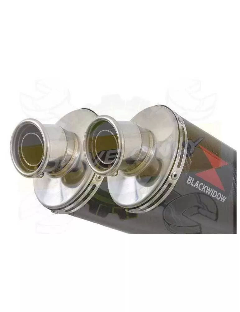 TDM 900 2-2 Ligne complète & Silencieux Ovale En Carbone 400mm