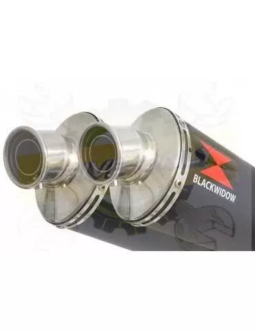 TDM 900 2-2 Ligne complète & Silencieux Ovale Noir En Inox 300mm