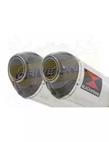 TDM 900 2-2 Ligne complète & Silencieux Ovale En Inox + Canule en Carbone 300mm