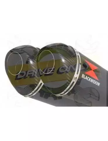 TDM 900 2-2 Ligne complète & Silencieux Ovale Noir En Inox + Canule en Carbone 300mm
