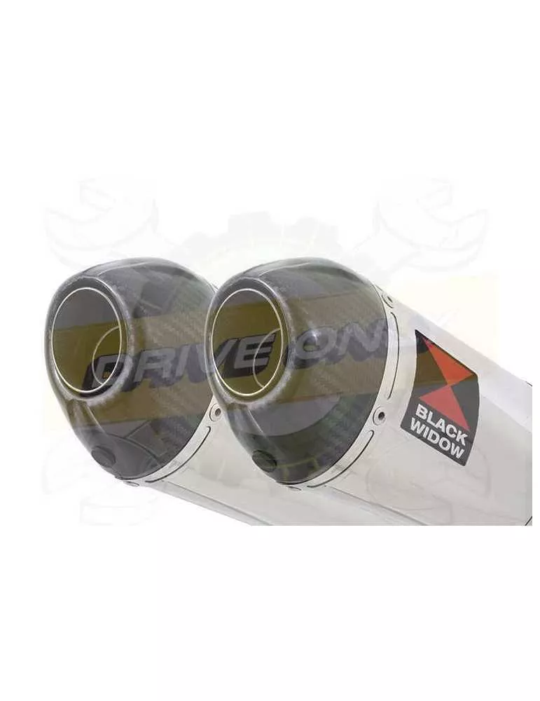 TDM 900 2-2 Ligne complète & Silencieux Ovale En Inox + Canule en Carbone 200mm