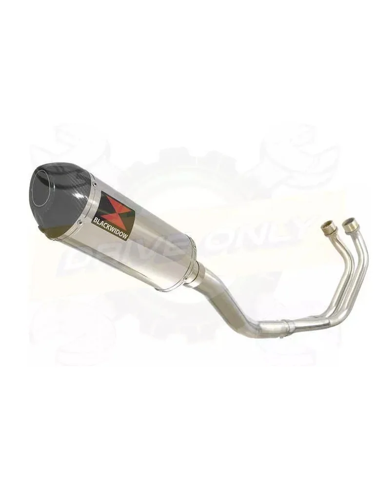 YAMAHA TDM 850 4EP / 3VD 1991 - 2001 2-1 Ligne complète & Silencieux Ovale En Inox + Canule en Carbone 300mm