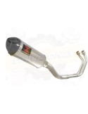 YAMAHA TDM 850 4EP / 3VD 1991 - 2001 2-1 Ligne complète & Silencieux Ovale En Inox + Canule en Carbone 300mm