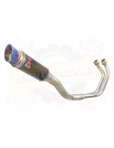 YAMAHA TDM 850 4EP / 3VD 1991 - 2001 2-1 Ligne complète & Silencieux Rond GP En Carbone + Canule En Inox Anodisé 230mm