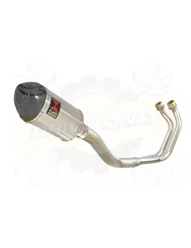 YAMAHA TDM 850 4EP / 3VD 1991 - 2001 2-1 Ligne complète & Silencieux Ovale En Inox + Canule en Carbone 200mm