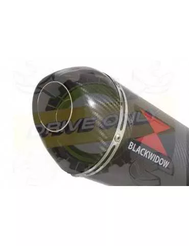 XSR700 XSR 700 2015 -2019 Passage Bas 2-1 Décatalyseur Ligne complète & Silencieux Ovale En Carbone 300mm