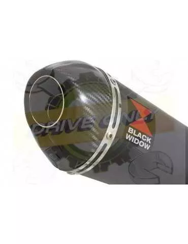 ZX10R ZX10-R E8F E9F E10F 08 09 10 Exhaust De Cat tube de raccord & Ovale Noir Stainless + Carbon Tip Silencieux Kit (1) 200mm