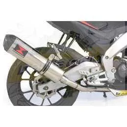APRILIA RS4 125 2011 - 2018 Podium Inox / Carbone 400mm 