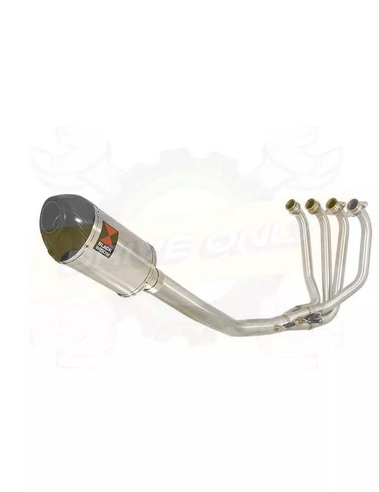 ZRX1100 ZRX 1100 Ligne complète & Silencieux Ovale En Inox + Canule En Carbone 200mm