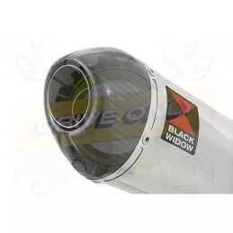 ZRX1200 ZRX 1200 Ligne complètes & Ovale Silencieux En Inox + En Carbone Tip 200mm