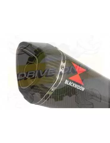 ZRX1200 ZRX 1200 Ligne complètes & Hexagonale En Carbone Silencieux + En Carbone Tip 300mm
