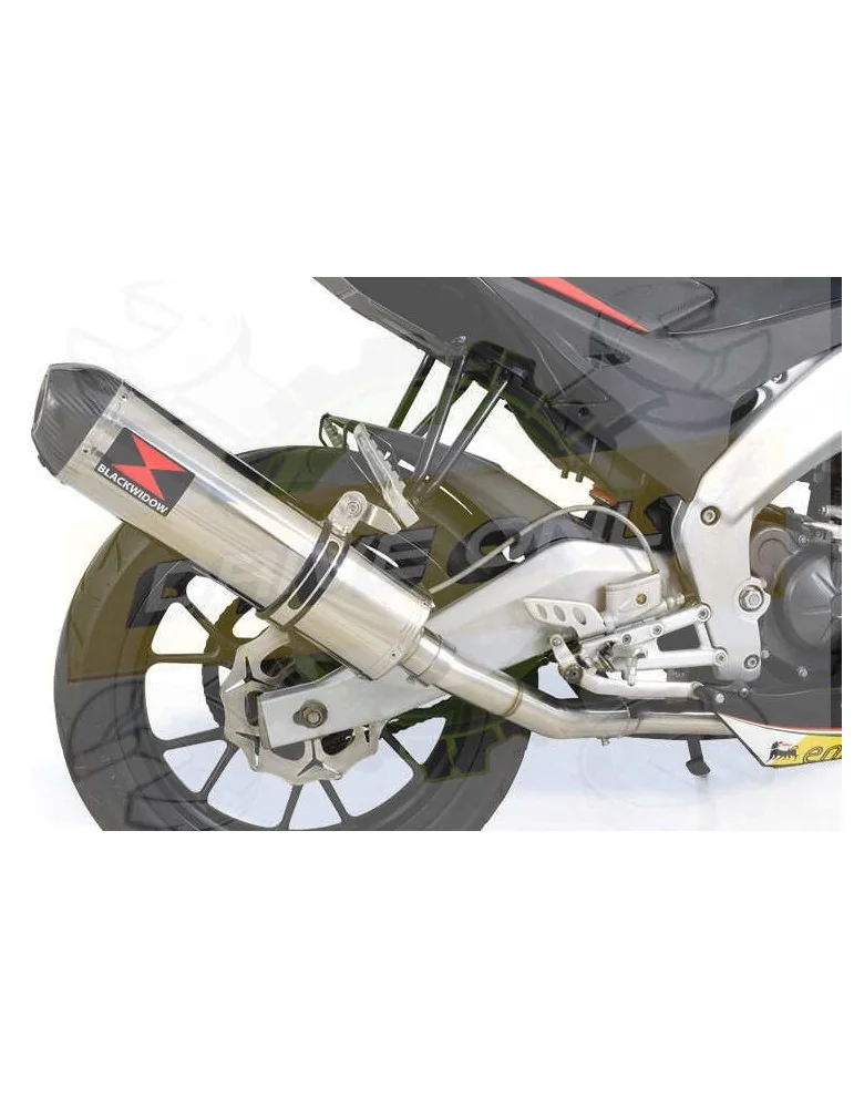 APRILIA RS4 125 2011 - 2018 Ligne complètes & Ovale Silencieux En Inox + En Carbone Tip 400mm
