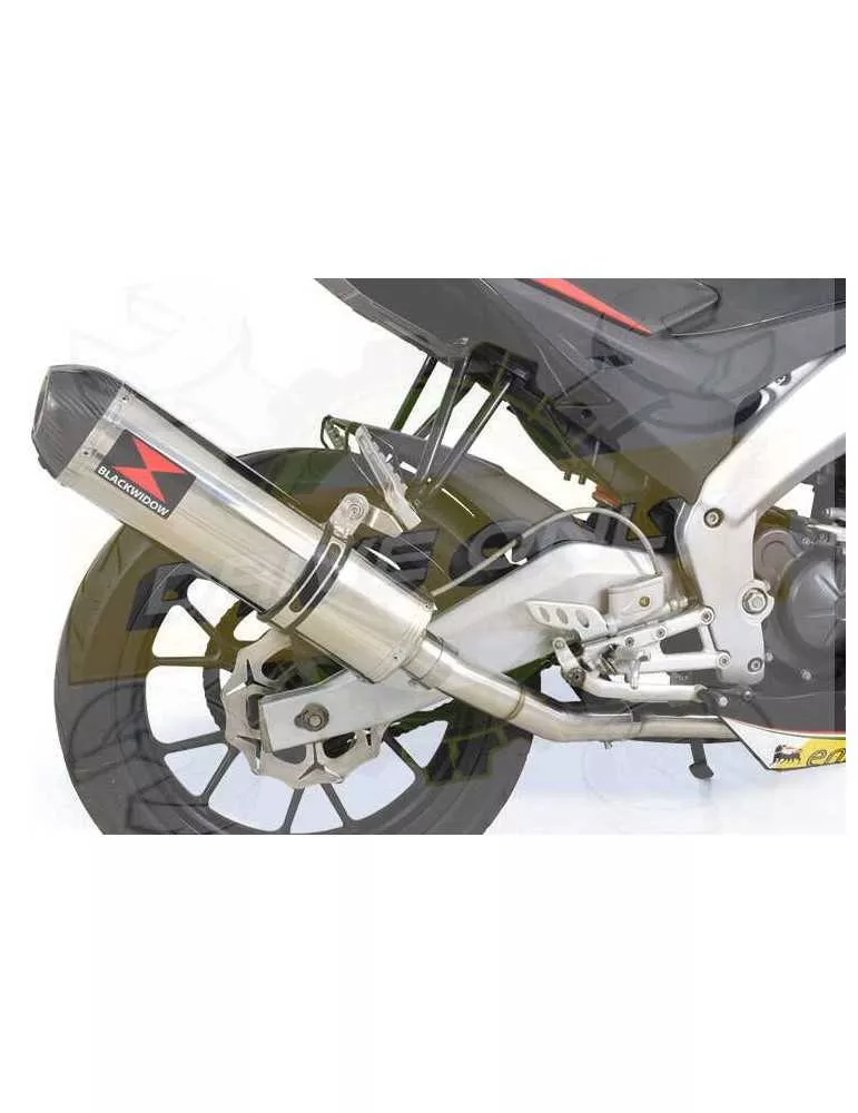 APRILIA RS4 125 2011 - 2018 Ligne complètes & Ovale Silencieux En Inox + En Carbone Tip 400mm