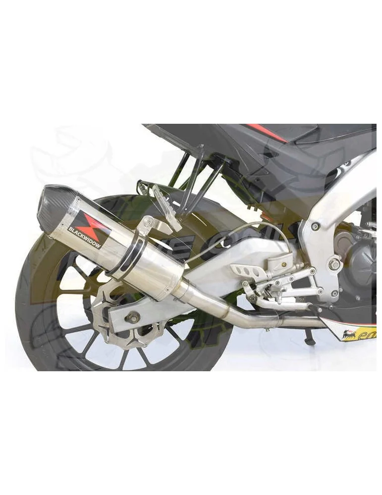 APRILIA RS4 125 2011 - 2018 Ligne complètes & Ovale Silencieux En Inox + En Carbone Tip 300mm