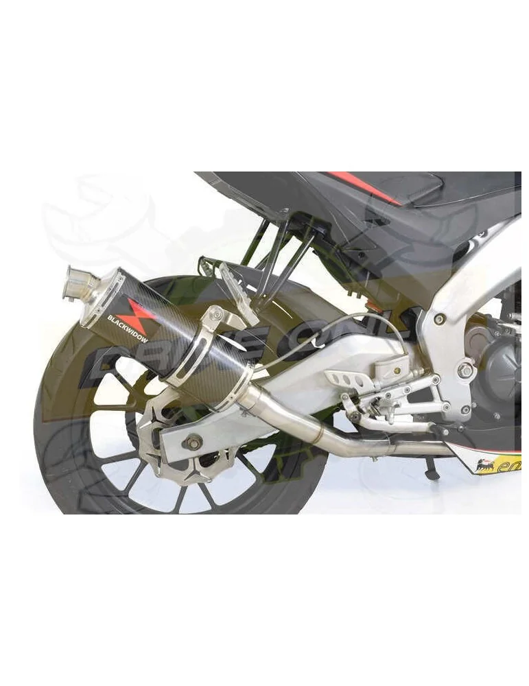 APRILIA RS4 125 2011 - 2018 Ligne complètes & Ovale En Carbone Silencieux 300mm