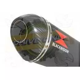 FZ-1S FZ-1 S Ligne complète & Silencieux Ovale Noir En Inox + Canule En Carbone 300mm