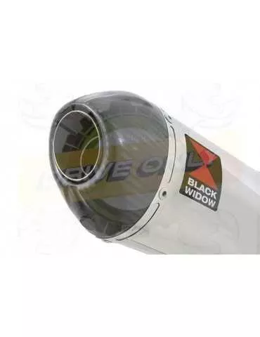 FZ-1S FZ-1 S Ligne complètes & Ovale Silencieux En Inox + En Carbone Tip 200mm