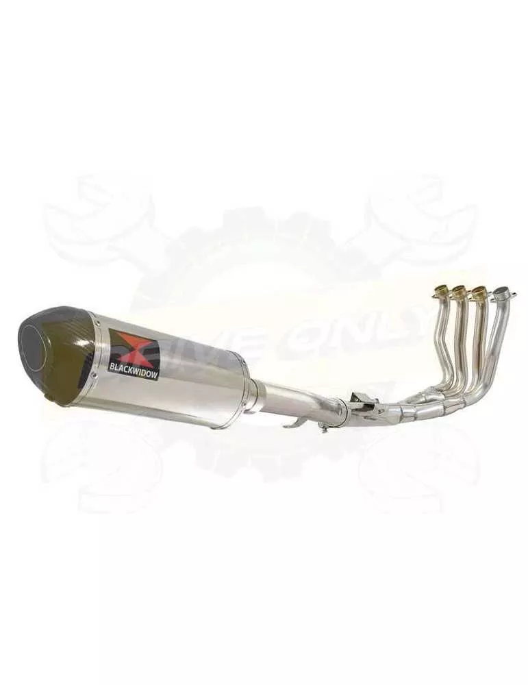 FZ-1S FZ-1 S Ligne complètes & Ovale Silencieux En Inox + En Carbone Tip 300mm
