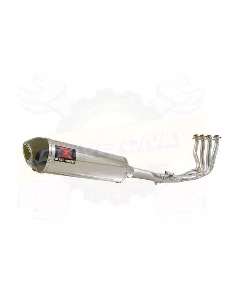 FZ-1N FZ-1 N Ligne complète & Silencieux Ovale En Inox + Canule En Carbone 400mm