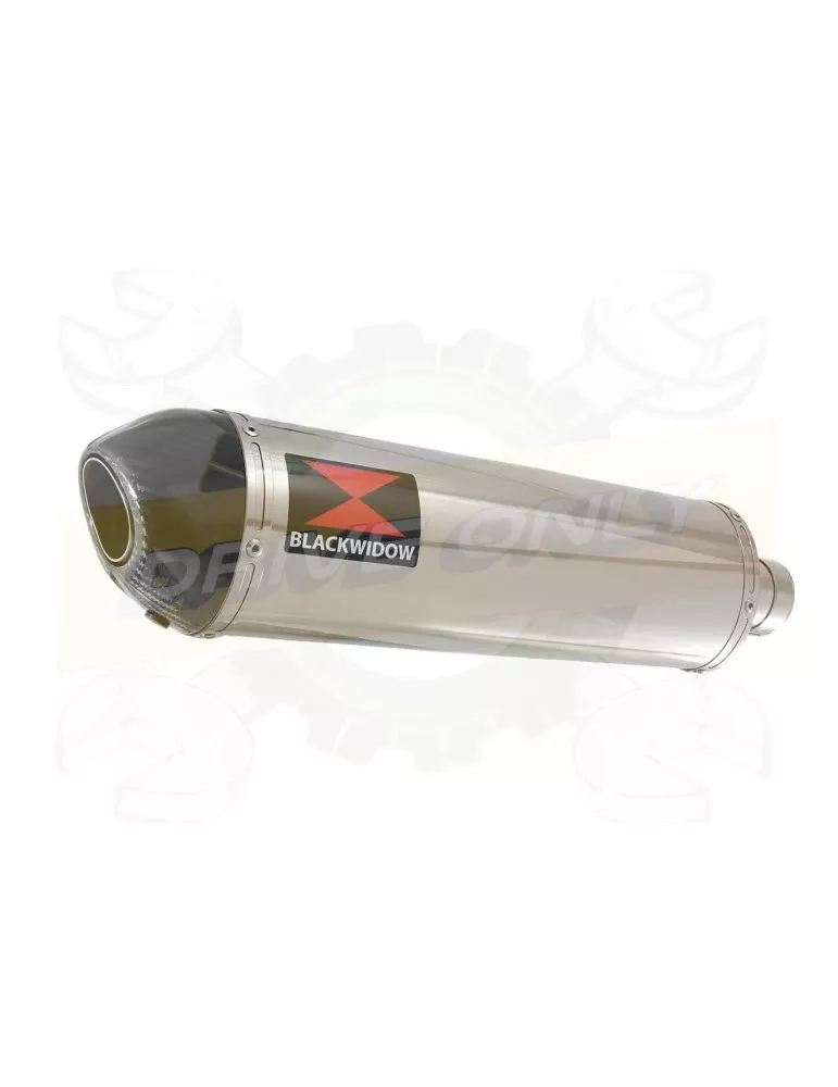FZ-1N FZ-1 N exhaust tube de raccord et Ovale Silencieux En Inox + Carbon Tip 400mm